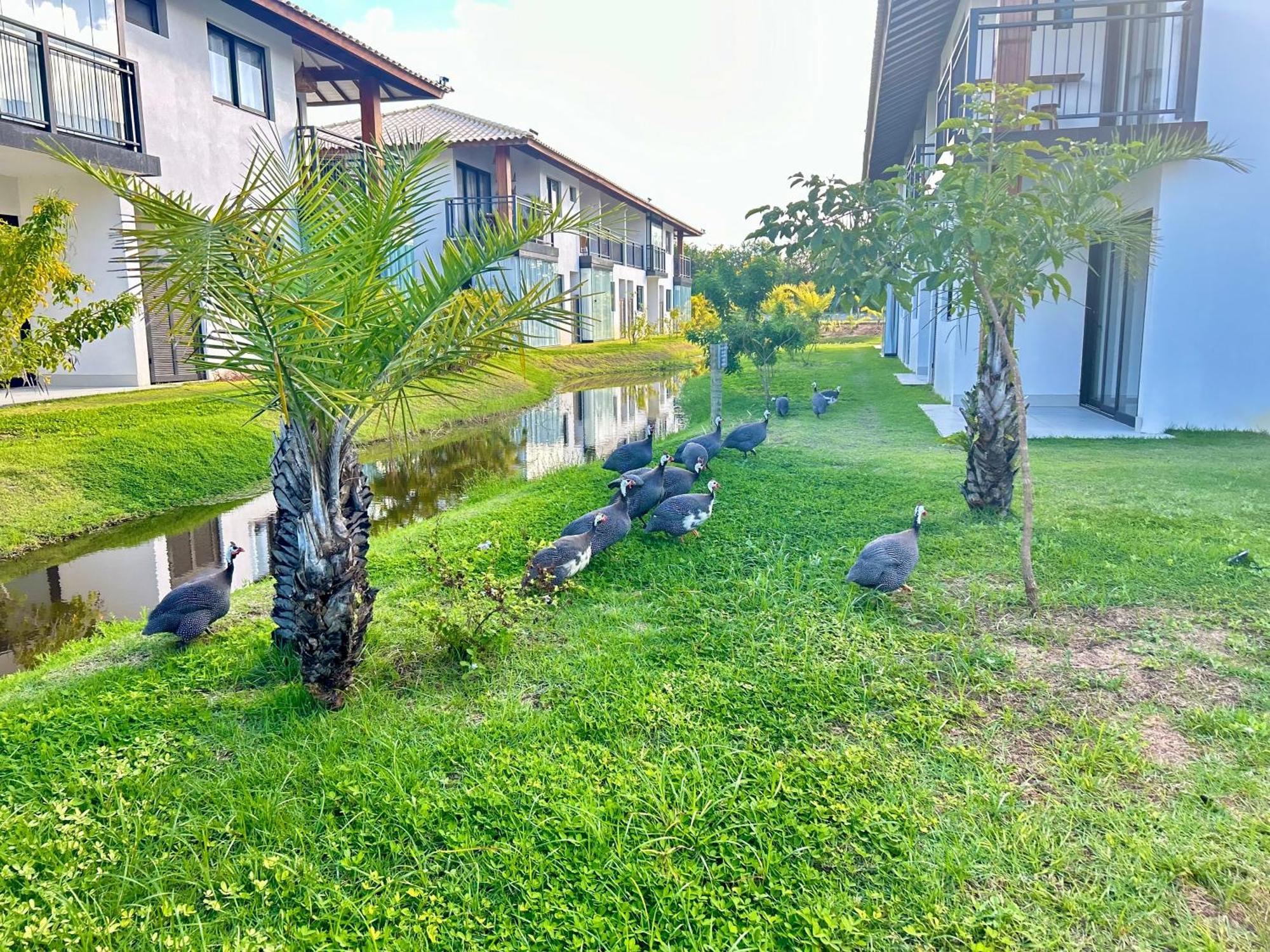 Village Encanto - 2 Quartos, Luxo, Terreo E Lindo Na ปรายาโดฟอร์ชิ ภายนอก รูปภาพ